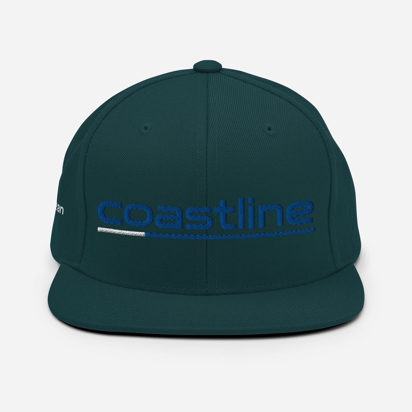 Snapback Hat